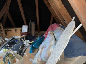 WhatsApp Image 2026-04-08 at 11.04.39 PM (1)